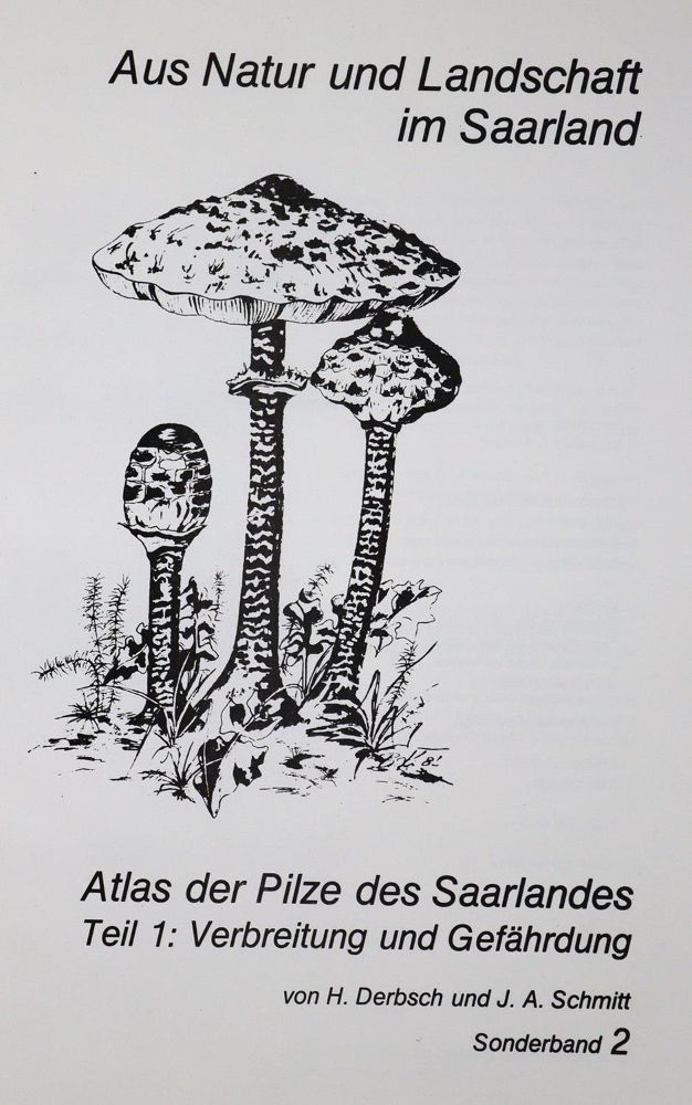 Große Abbildung Nr.1: 129-1354 Derbsch,H. u. J.A.Schmitt.: (Botanik, Pilze)