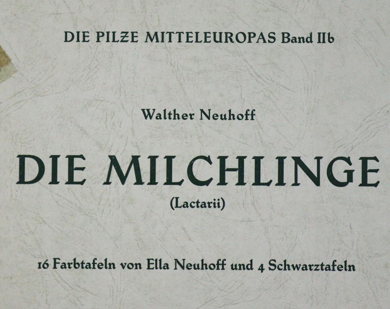 Große Abbildung Nr.2: 129-1355 Pilze Mitteleuropas., Die.: (Botanik, Pilze)