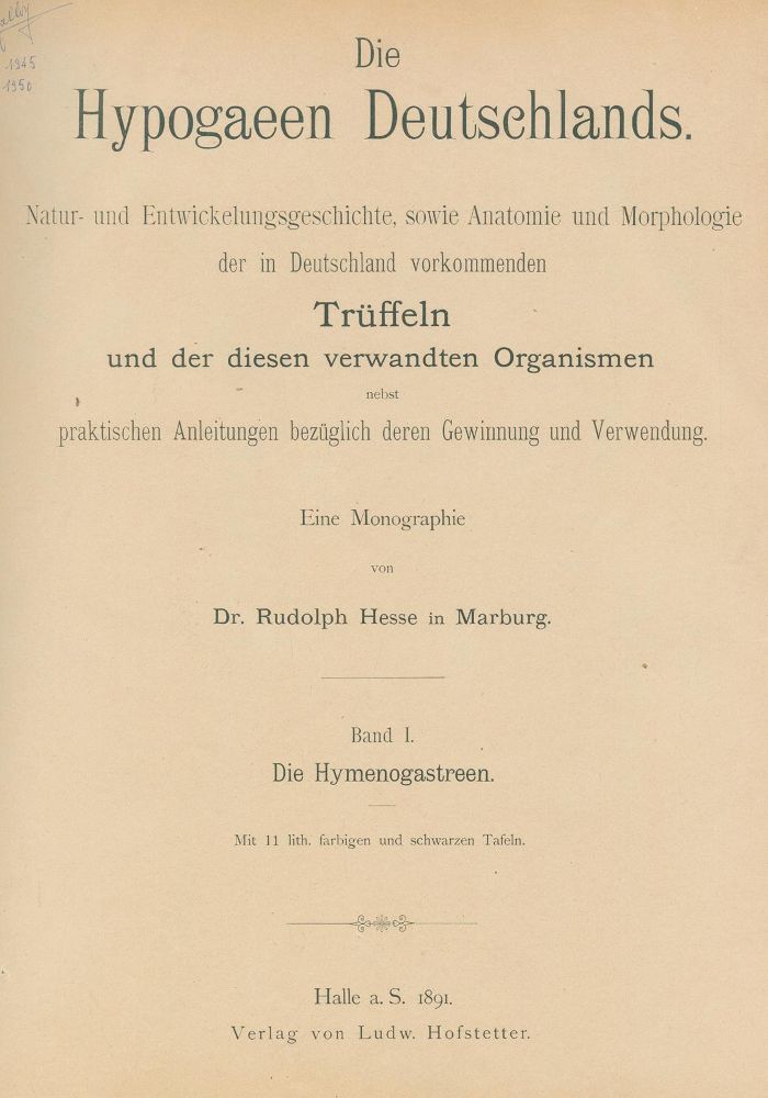 Große Abbildung Nr.1: 129-1372 Hesse,R.: (Botanik, Trüffel)