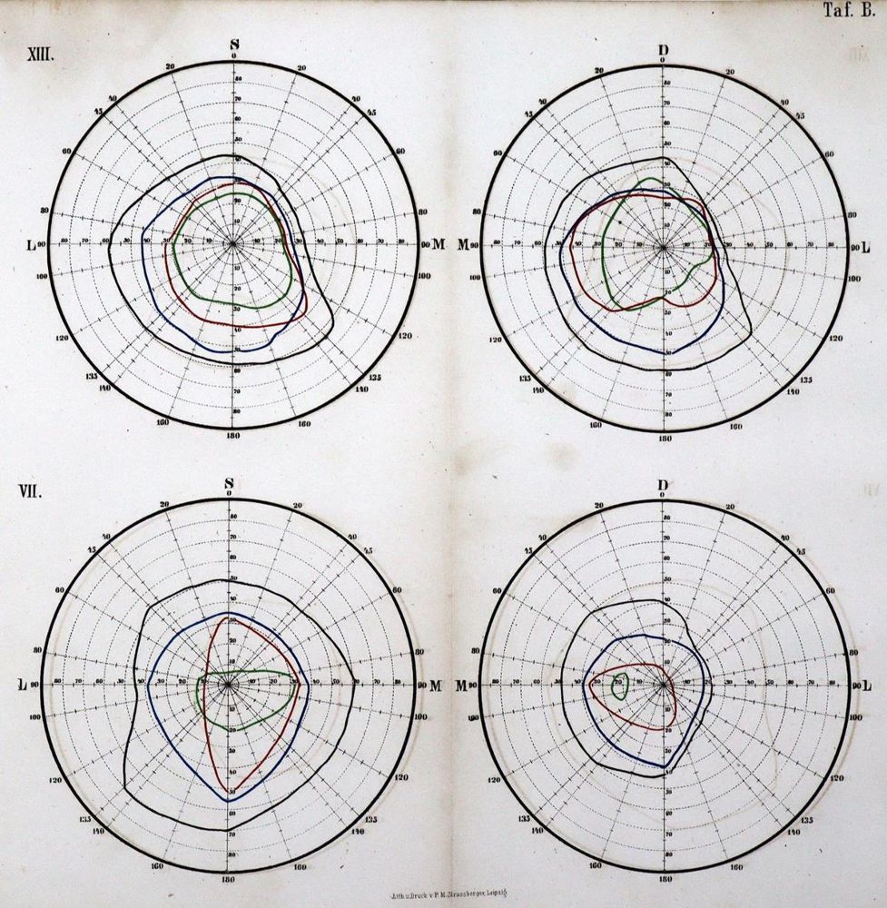 Große Abbildung Nr.2: 129-1382 Scheffler,H.: (Medizin, Augenheilkunde)