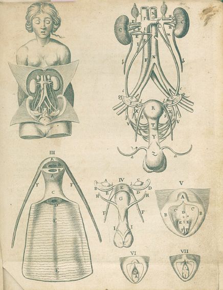 Große Abbildung Nr.1: 129-1408 (Vesling,J.: (Medizin)