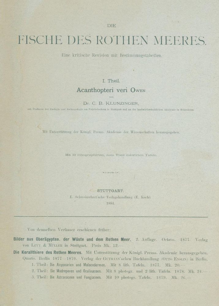 Große Abbildung Nr.1: 129-1418 Klunzinger,C.B.: (Zoologie, Fische)