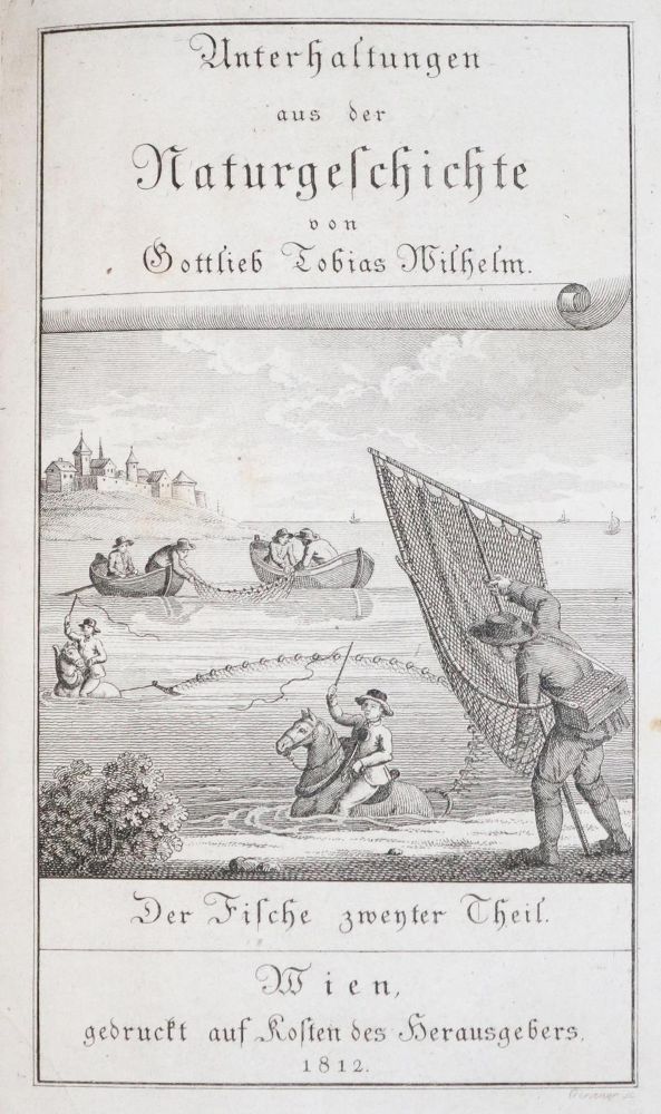 Große Abbildung Nr.1: 129-1419 Wilhelm,G.T.: (Zoologie, Fische)