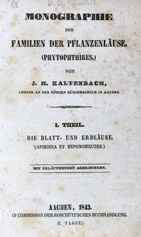 Große Abbildung Nr.1: 129-1425 Kaltenbach,J.H.: (Zoologie, Insekten, Läuse)