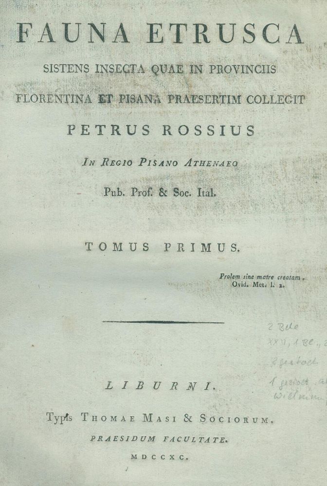Große Abbildung Nr.2: 129-1426 Rossi,P.: (Zoologie, Insekten)