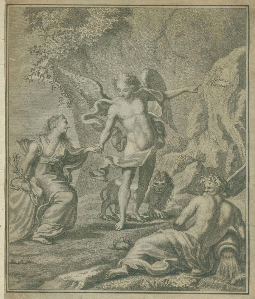 Große Abbildung Nr.3: 129-1426 Rossi,P.: (Zoologie, Insekten)