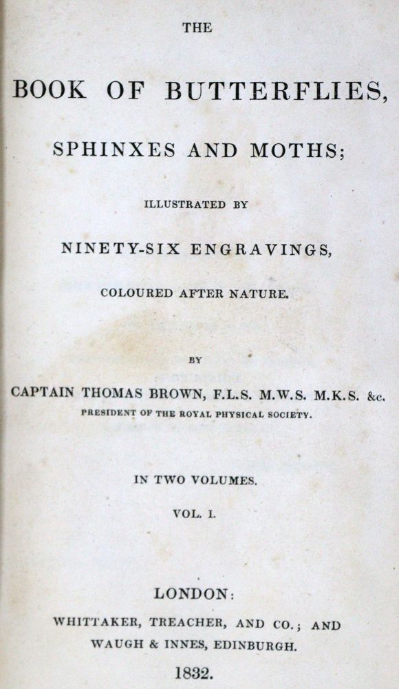 Große Abbildung Nr.1: 129-1432 Brown,T.: (Zoologie, Schmetterlinge)