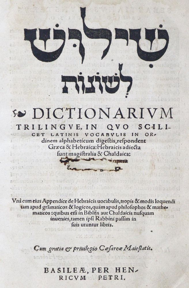Große Abbildung Nr.1: 129-172 (Münster,S.): (Alte Drucke, Handschriften und Theologie)