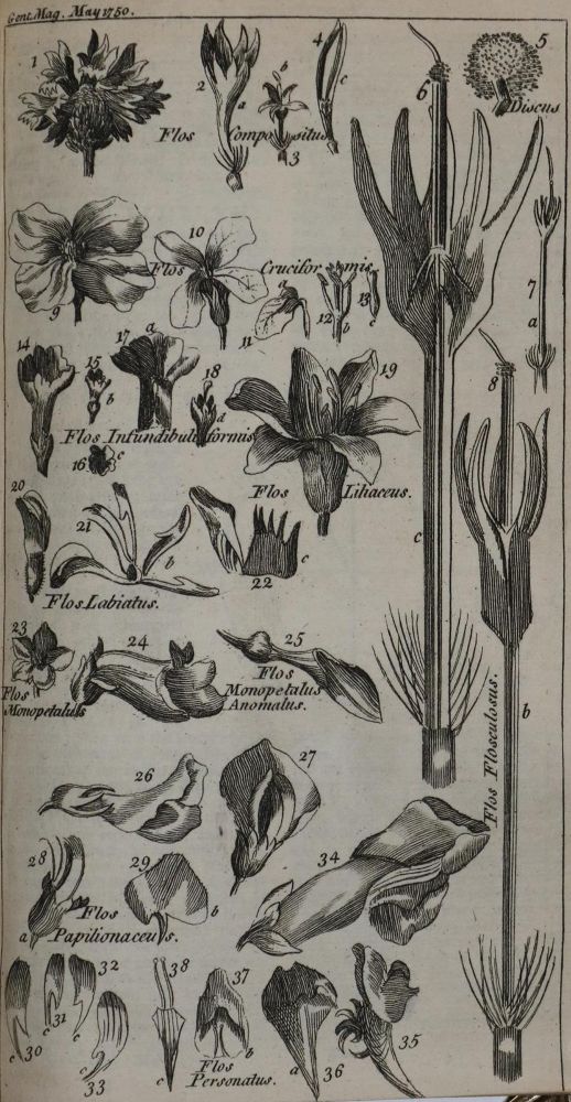 Große Abbildung Nr.1: 129-1838 Gentleman's Magazine, The,: (Verschiedene Länder - Geschichte)