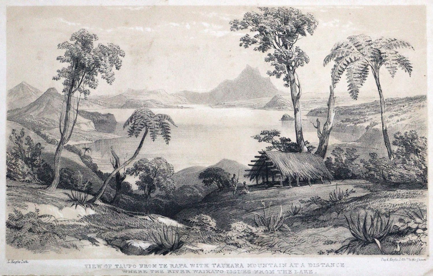 Große Abbildung Nr.2: 129-1877 Dieffenbach,E.: (Verschiedene Länder - Geschichte, Neuseeland)