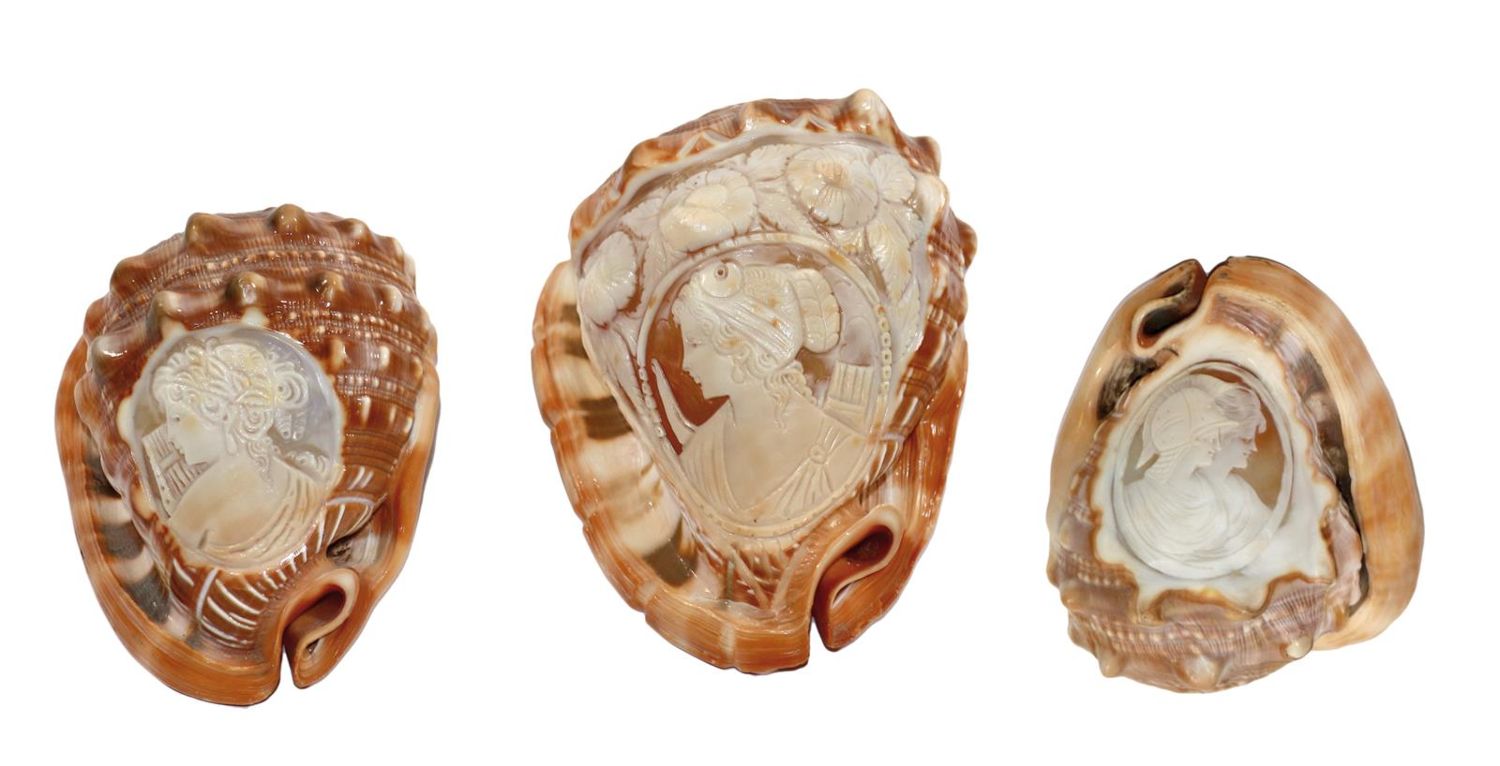 Große Abbildung Nr.1: 129-2678 Drei Tritonmuscheln: (Schmuck, Gemmen und Kameen)