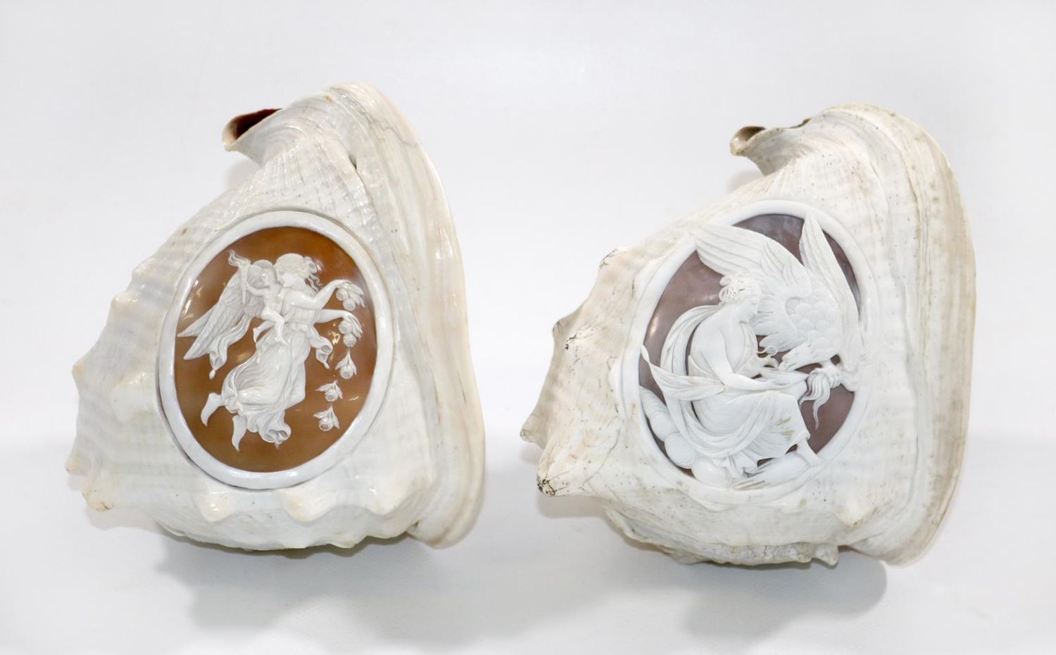 Große Abbildung Nr.1: 129-2692 Zwei Tritonmuscheln: (Schmuck, Gemmen und Kameen)
