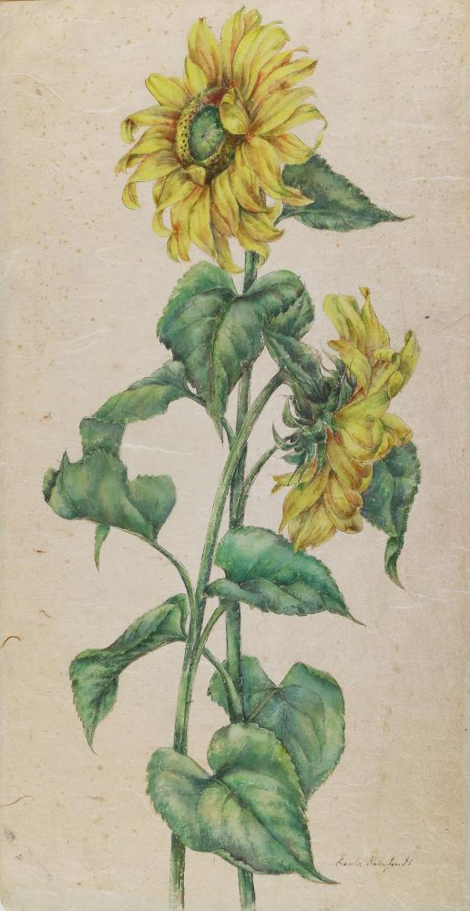 Große Abbildung Nr.1: 129-3043 Sonnenblumen.: (Varia, Botanik)