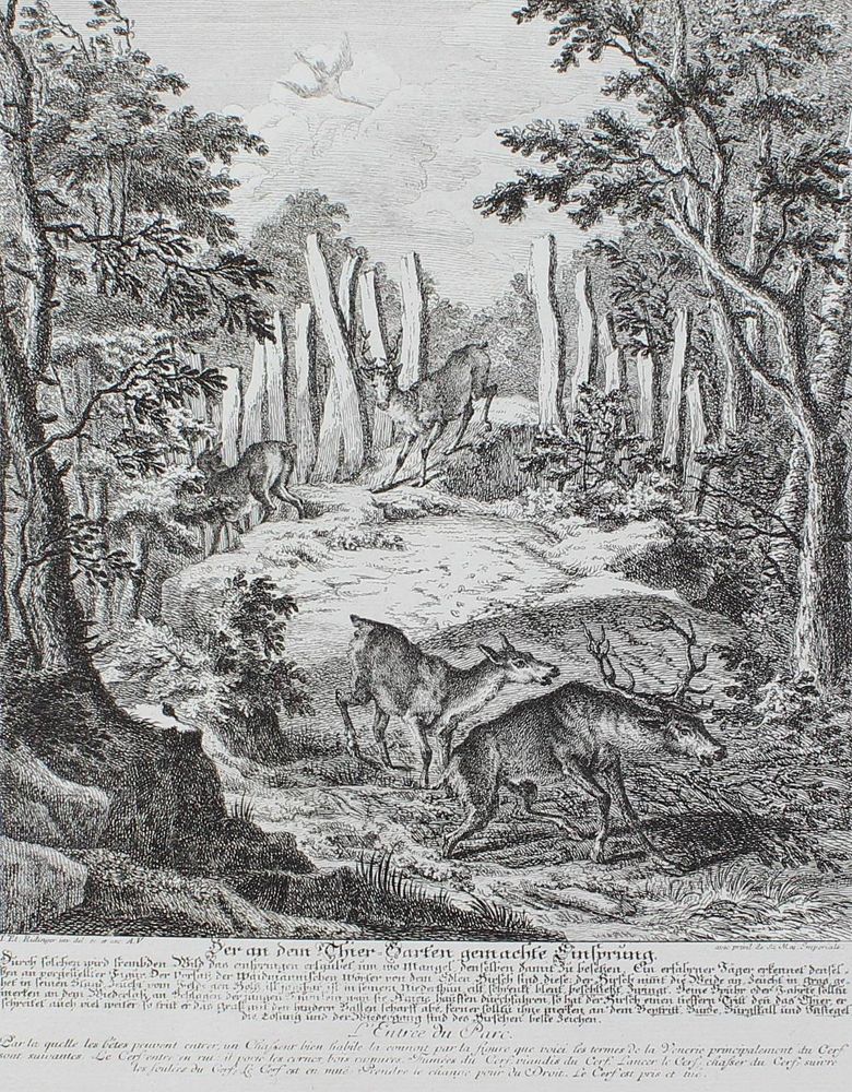 Große Abbildung Nr.21: 129-3072 Jagdkunst.: (Varia, Jagd, Ridinger)