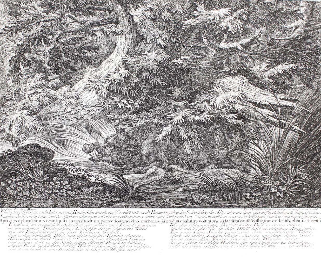Große Abbildung Nr.31: 129-3072 Jagdkunst.: (Varia, Jagd, Ridinger)