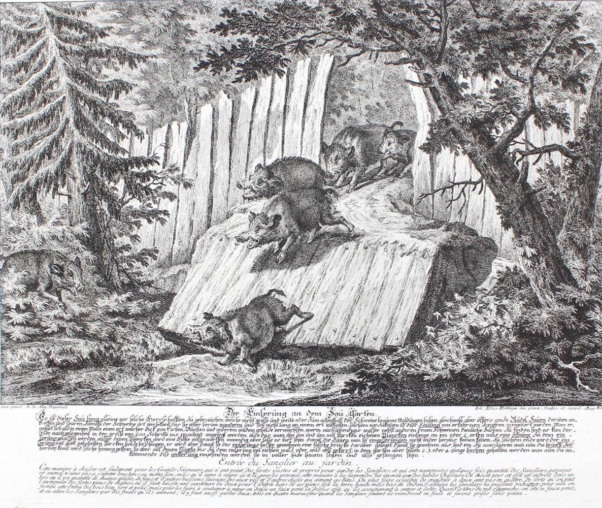 Große Abbildung Nr.1: 129-3074 Wolfsjagd.: (Varia, Jagd, Ridinger)