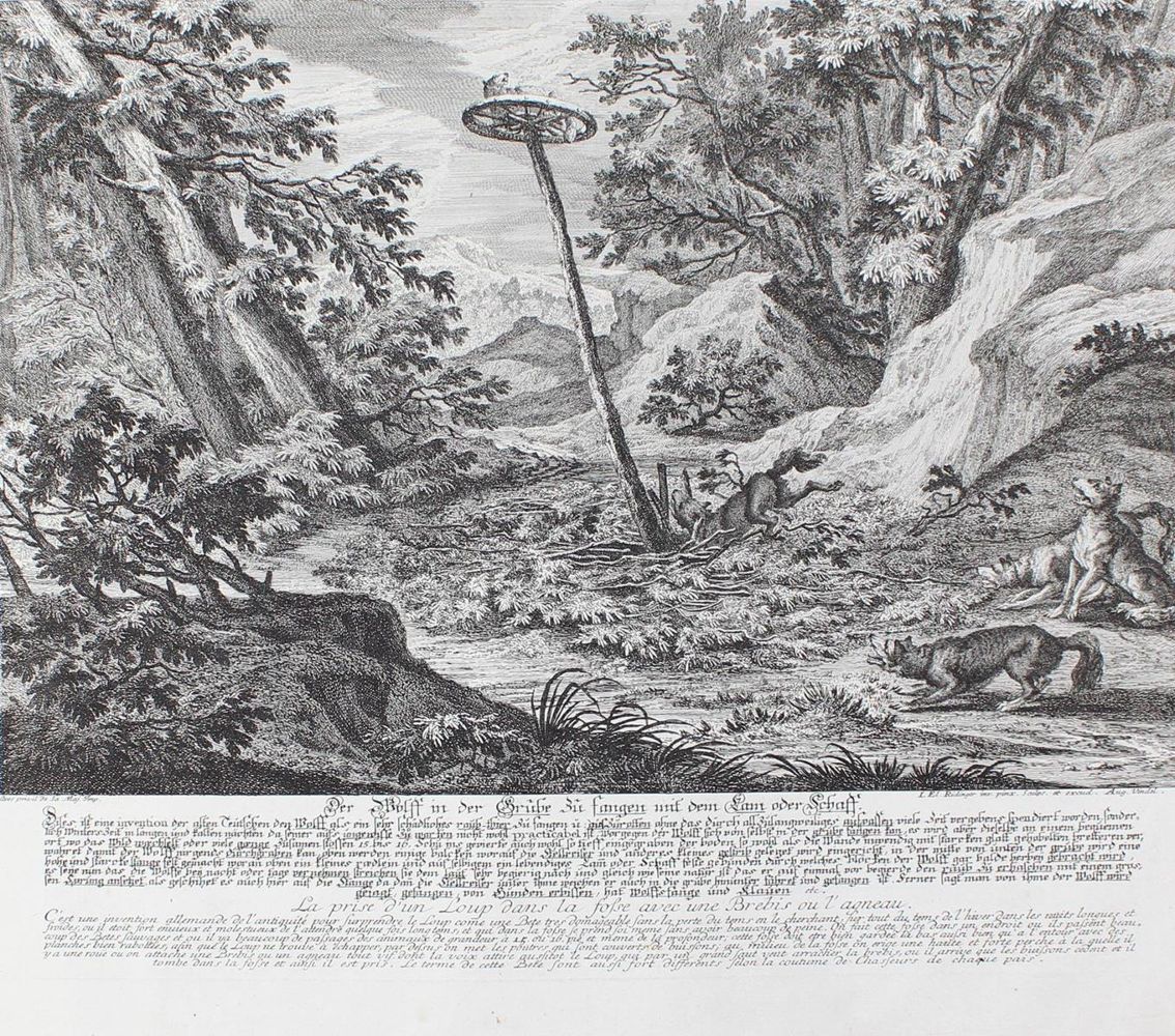 Große Abbildung Nr.11: 129-3074 Wolfsjagd.: (Varia, Jagd, Ridinger)