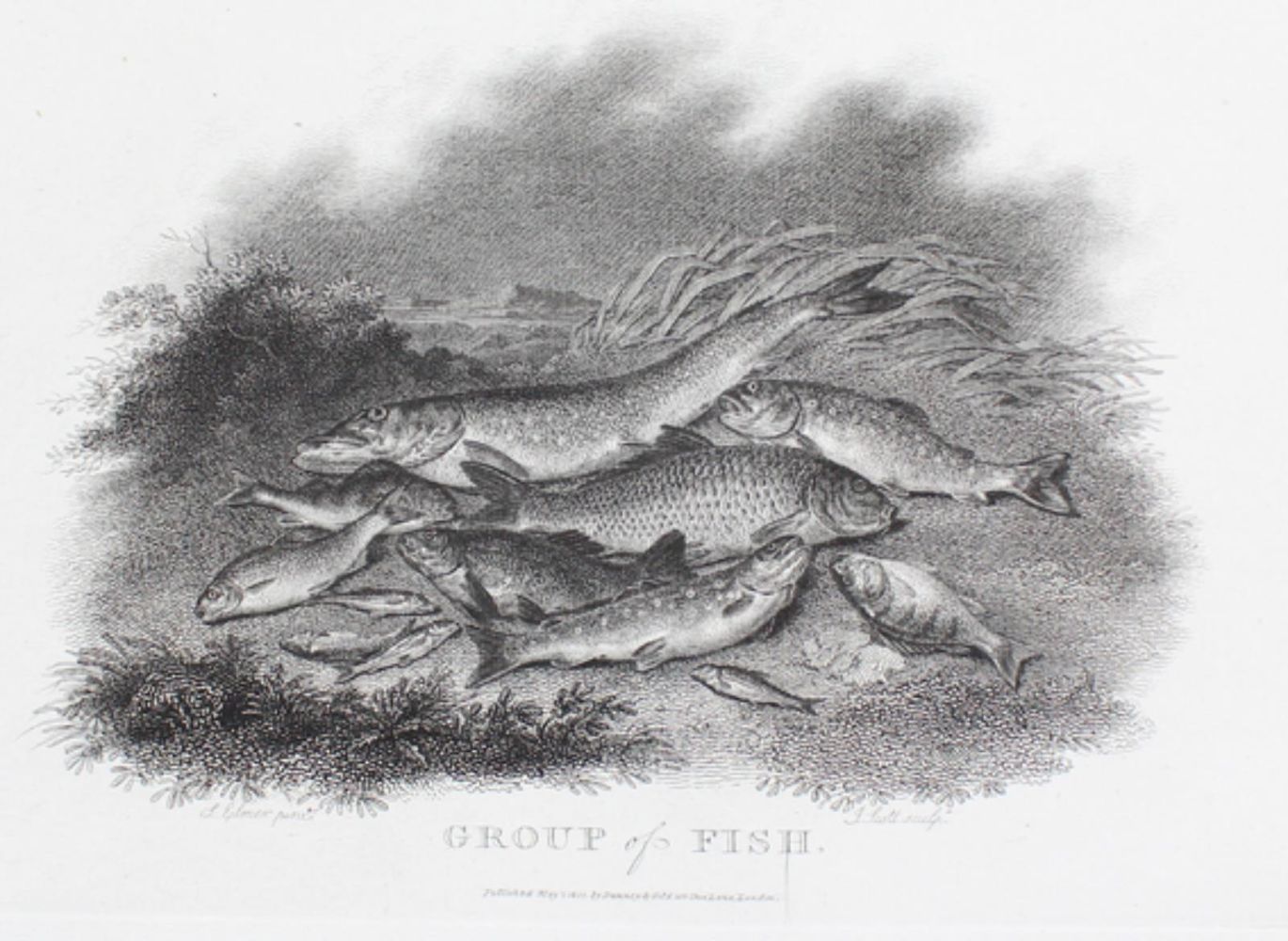 Große Abbildung Nr.1: 129-3075 Sammlung: (Varia, Jagd)