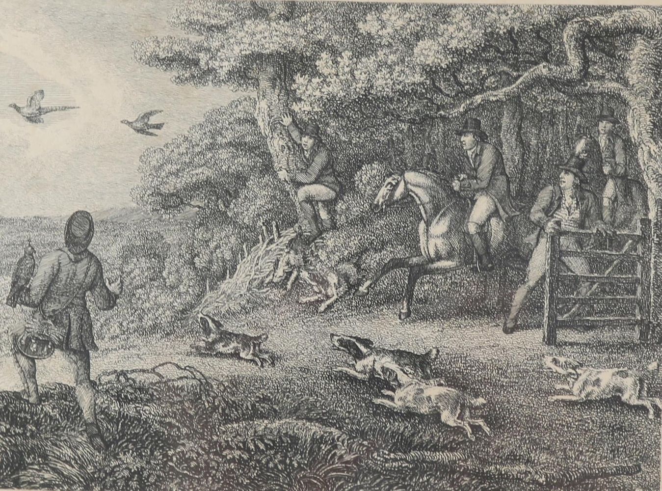 Große Abbildung Nr.1: 129-3076 Sammlung: (Varia, Jagd)