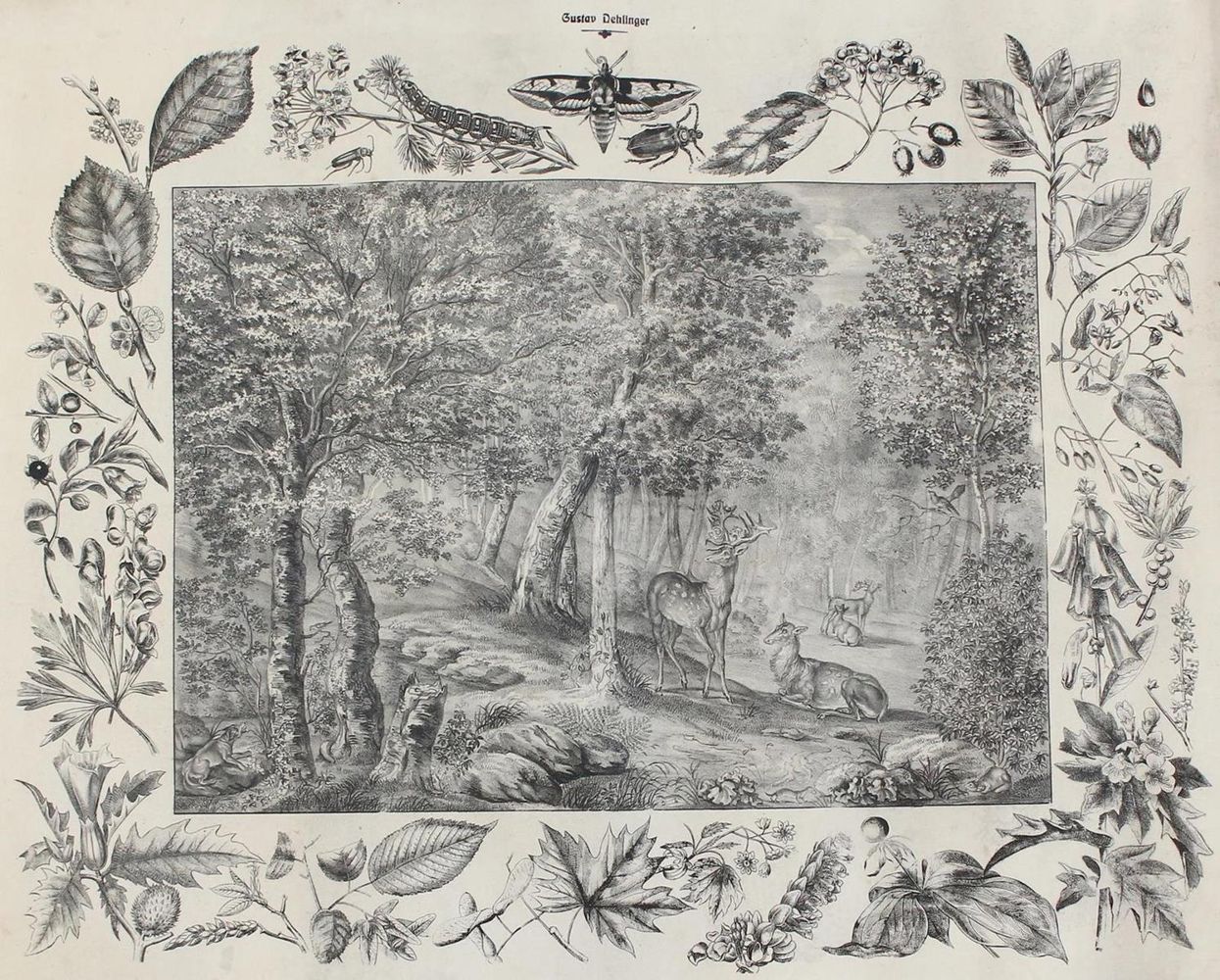 Große Abbildung Nr.1: 129-3151 Anschauungsbilder.: (Varia, Zoologie)