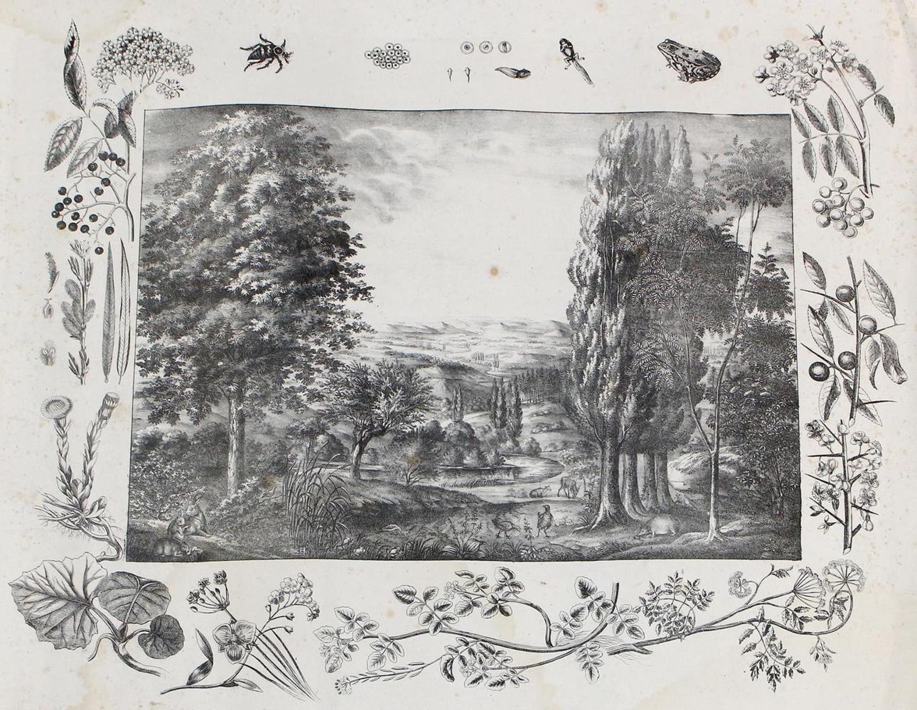 Große Abbildung Nr.2: 129-3151 Anschauungsbilder.: (Varia, Zoologie)