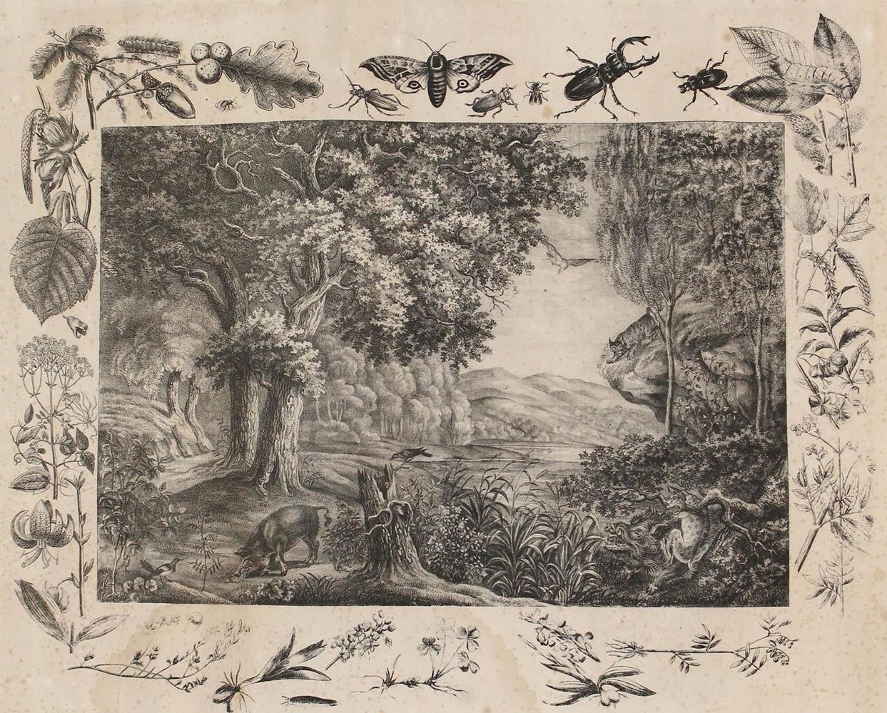 Große Abbildung Nr.4: 129-3151 Anschauungsbilder.: (Varia, Zoologie)