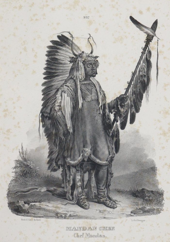 Große Abbildung Nr.5: 129-3272 Honegger: (Ausland, Amerika)