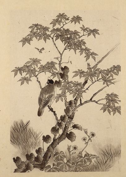 Große Abbildung Nr.1: 129-3335 Vögel u. Pflanzen.: (Ausland, Japan)