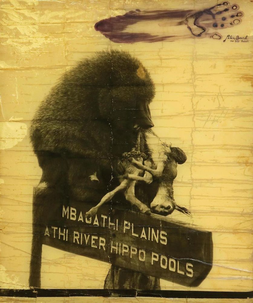 Große Abbildung Nr.1: 129-3453 Beard, Peter (Künstlergraphik)