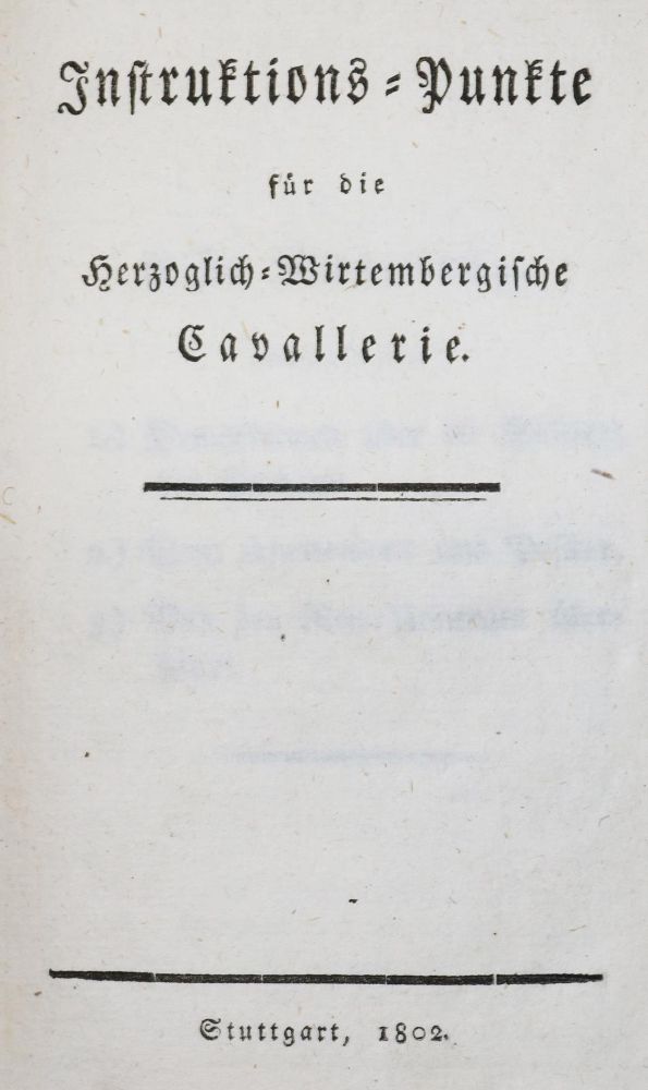 Große Abbildung Nr.1: 129-350 Instruktions-Punkte: (Militaria, Württemberg)