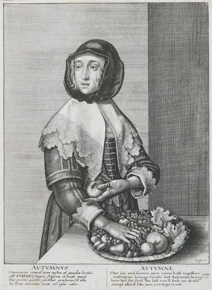 Große Abbildung Nr.3: 129-3658 Hollar, Wenzel: (Künstlergraphik)