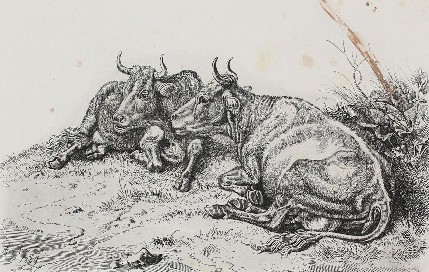 Große Abbildung Nr.1: 129-3738 Klein, Johann Adam: (Künstlergraphik)