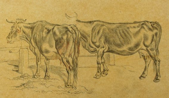Große Abbildung Nr.1: 129-3741 Klein, Johann Adam: (Künstlergraphik)