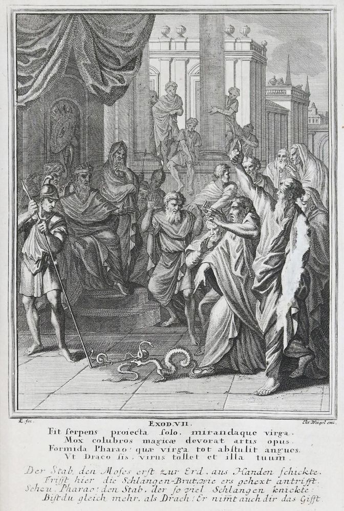 Große Abbildung Nr.2: 129-38 Weigel,C.: (Bibeln)