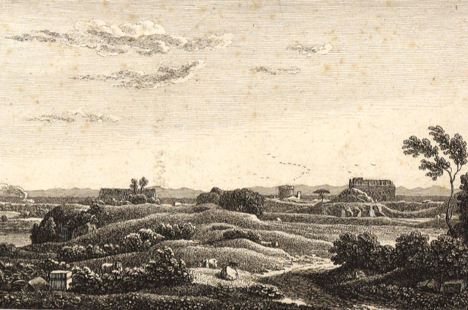 Große Abbildung Nr.1: 129-3937 Reinhart, Johann Christian: (Künstlergraphik)