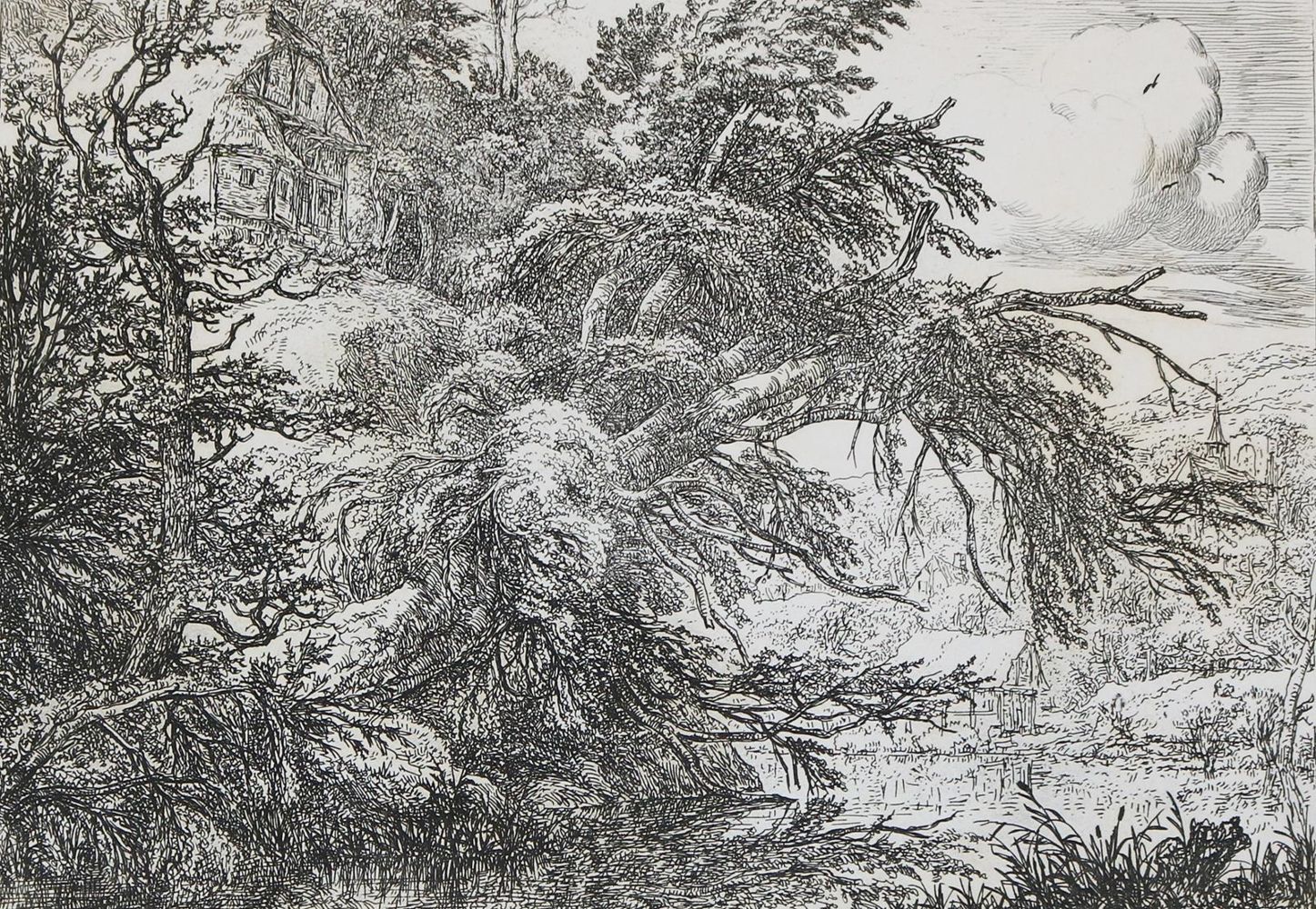 Große Abbildung Nr.1: 129-3987 Ruisdael, Jacob Isaackszoon: (Künstlergraphik)