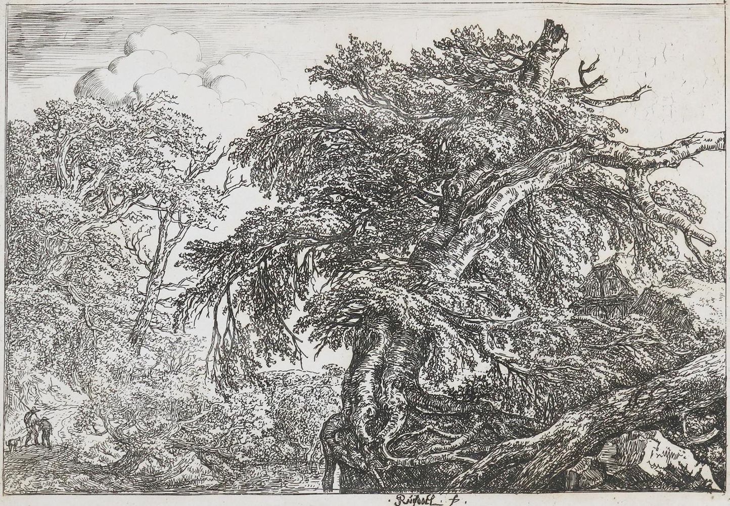 Große Abbildung Nr.1: 129-3989 Ruisdael, Jacob Isaackszoon: (Künstlergraphik)