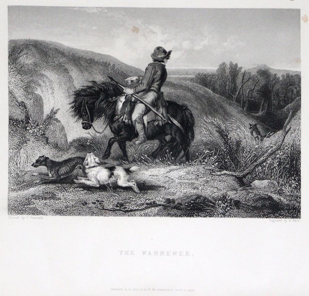Große Abbildung Nr.2: 129-428 Nimrod (d.i. C.J.Apperley).: (Jagd)
