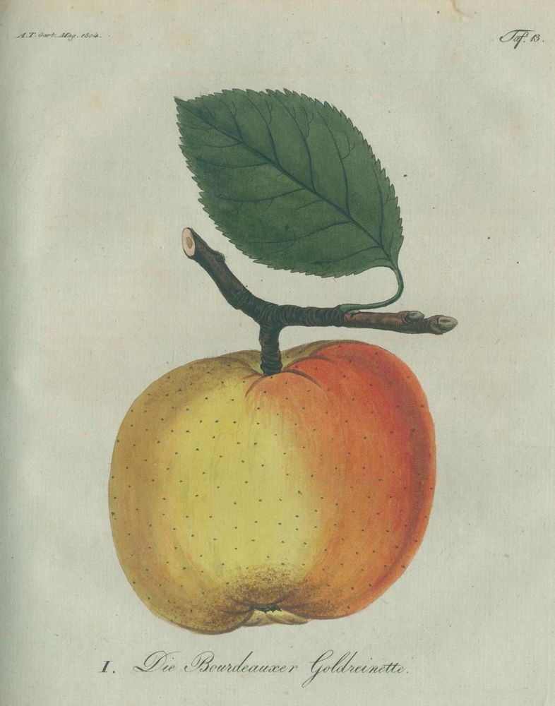 Große Abbildung Nr.1: 129-473 Garten-Magazin,: (Land- und Forstwirtschaft, Garten)