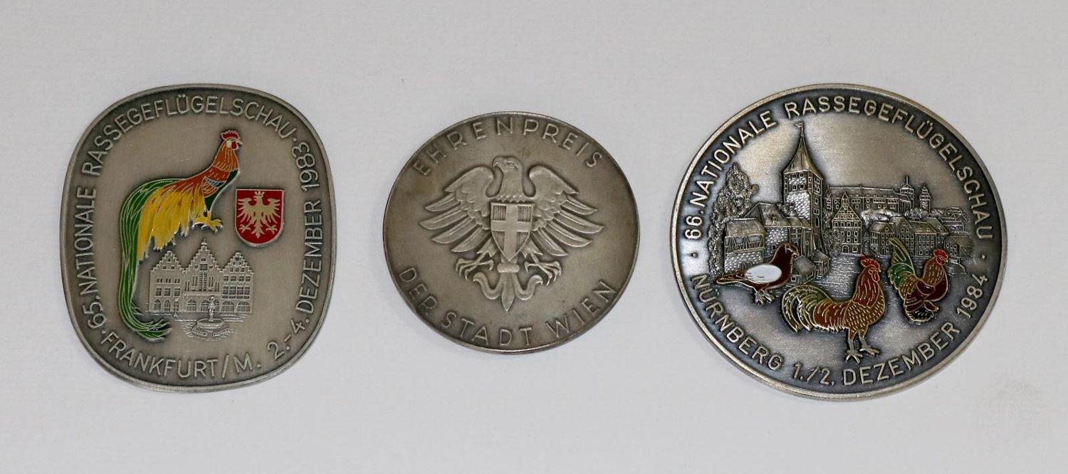 Große Abbildung Nr.7: 129-476 Geflügel.: (Land- und Forstwirtschaft)