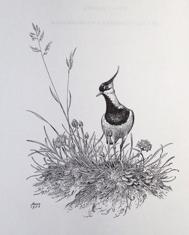 Große Abbildung Nr.1: 129-477 (Becher,J.J.).: (Land- und Forstwirtschaft, Landwirtschaft)