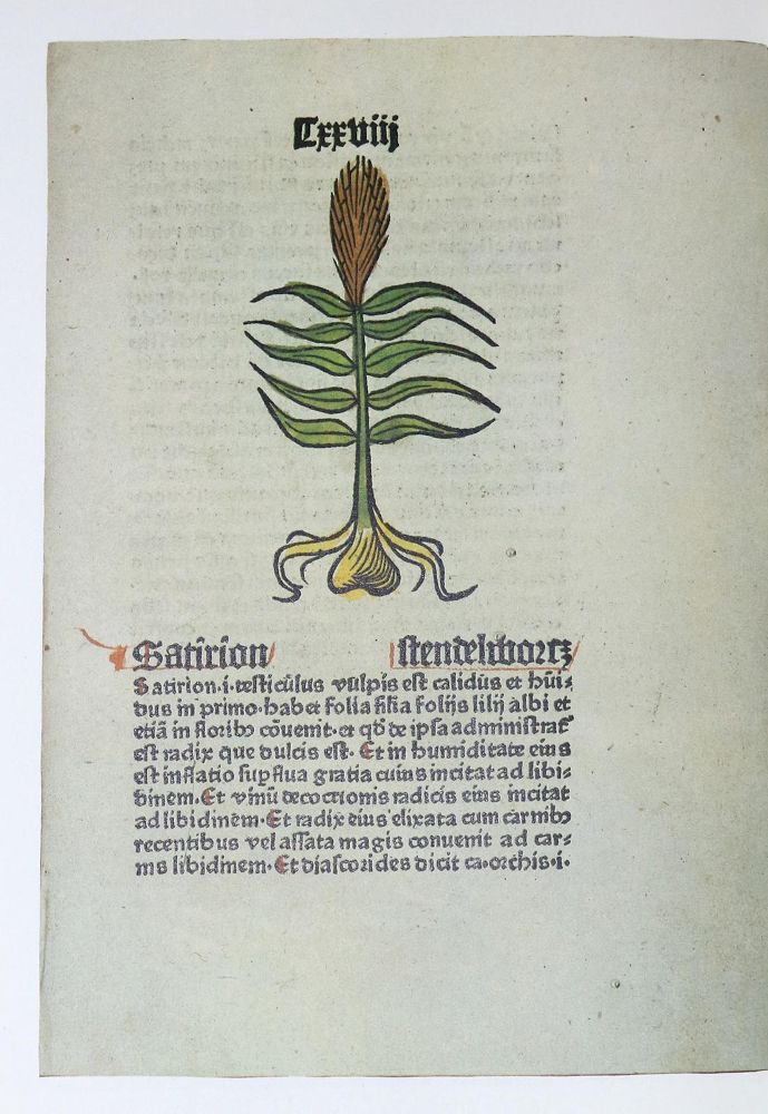 Große Abbildung Nr.1: 129-609 Kunze,H.: (Buchillustration)