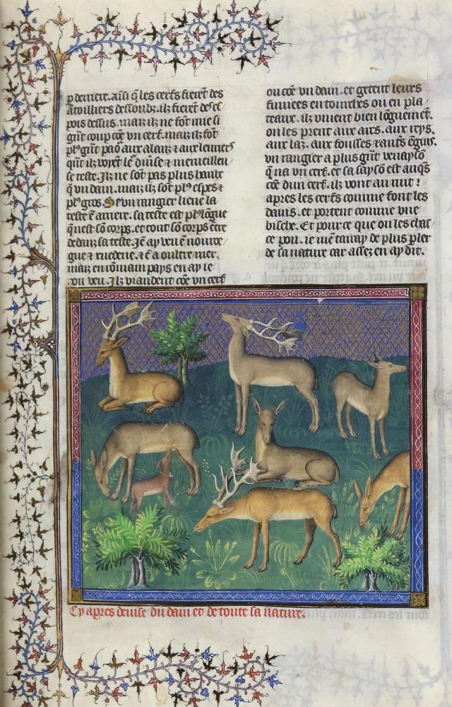 Große Abbildung Nr.4: 129-636 Gaston Phoebus.: (Faksimile)