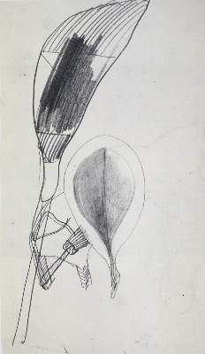 Bild Nr.4: 129-1127 Beuys,J.: (Literatur und illustrierte Bücher 20.Jahrhundert - Alte Literatur in modernen Ausgaben)
