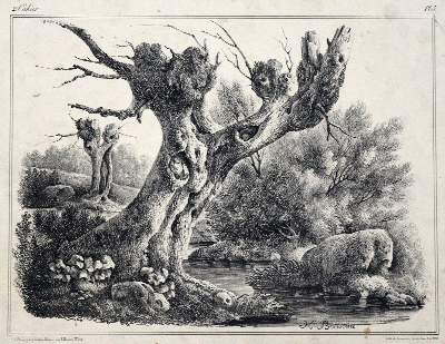 Bild Nr.1: 129-1132 Boisseau,H.: (Literatur und illustrierte Bücher 20.Jahrhundert - Alte Literatur in modernen Ausgaben)