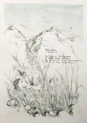 Bild Nr.1: 129-1207 Zollinger,A.: (Hug)