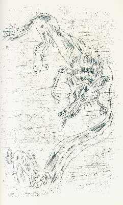 Bild Nr.1: 129-1339 Ziegler, Richard: (Literatur und illustrierte Bücher 20.Jahrhundert - Alte Literatur in modernen Ausgaben)