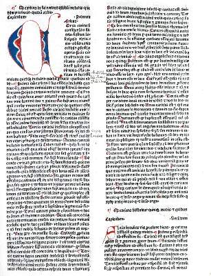 Bild Nr.1: 129-135 Rainerius de Pisis.: (Inkunabeln)