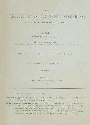 Bild Nr.1: 129-1418 Klunzinger,C.B.: (Zoologie, Fische)