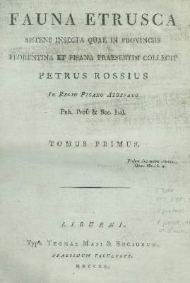 Bild Nr.2: 129-1426 Rossi,P.: (Zoologie, Insekten)